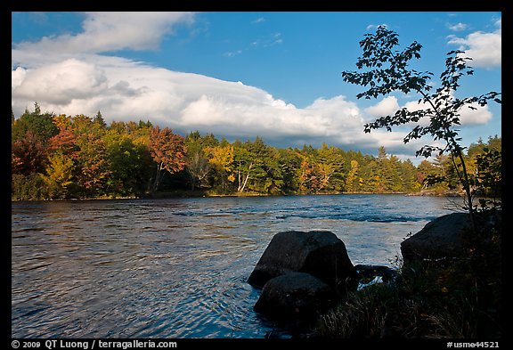Penobscot River, boulders, and trees in fall. Maine, USA (color)
