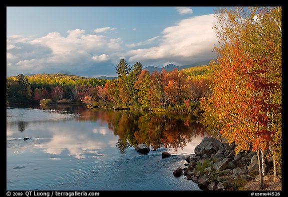 Trees in fall foliage reflected in wide  Penobscot River. Maine, USA
