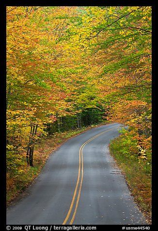 Road near entrance of Baxter State Park, autumn. Baxter State Park, Maine, USA