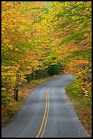 Road near entrance of Baxter State Park, autumn. Baxter State Park, Maine, USA (color)