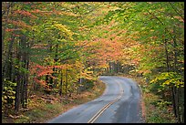 Fall foliage and road near entrance of Baxter State Park. Baxter State Park, Maine, USA