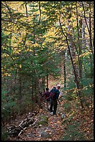 Hikers descend steep trail in forest. Baxter State Park, Maine, USA (color)