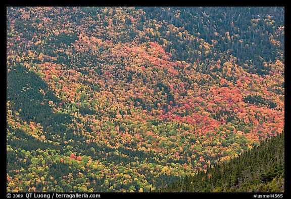 Katahdin mountain slopes colored with fall foliage. Baxter State Park, Maine, USA