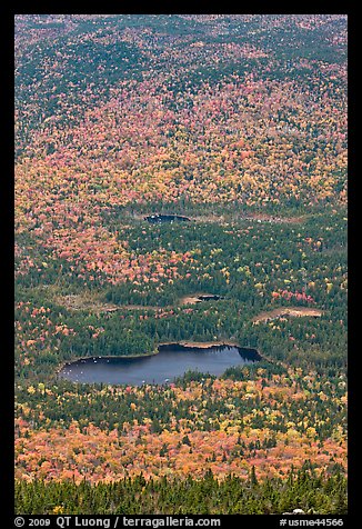Elevated view of Whidden ponds surrounded by forest in fall foliage. Baxter State Park, Maine, USA