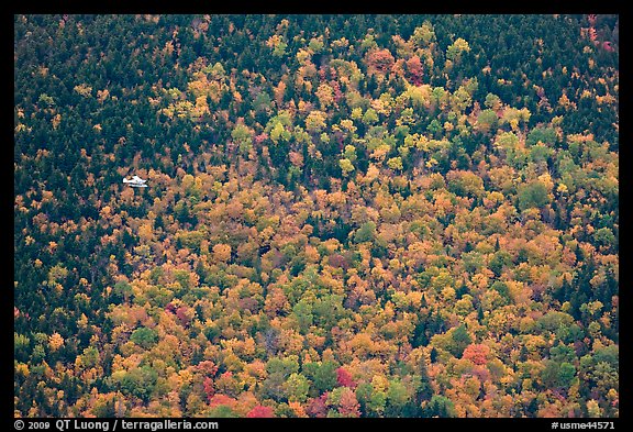 Floatplane flying against slope with trees in fall foliage. Baxter State Park, Maine, USA