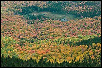 Mixed forest, meadow and pond seen from above. Baxter State Park, Maine, USA ( color)