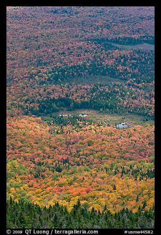 Forest and meadows from above. Baxter State Park, Maine, USA (color)