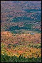 Forest and meadows from above. Baxter State Park, Maine, USA ( color)