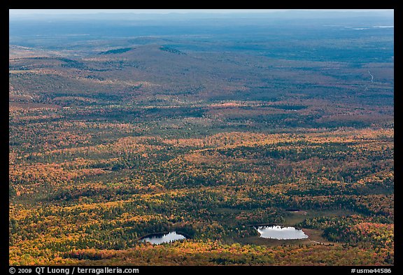 Ponds and forested landscape in autumn with spots of light. Baxter State Park, Maine, USA