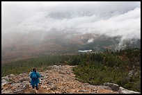 Hiker descending South Turner Mountain under the rain. Baxter State Park, Maine, USA ( color)