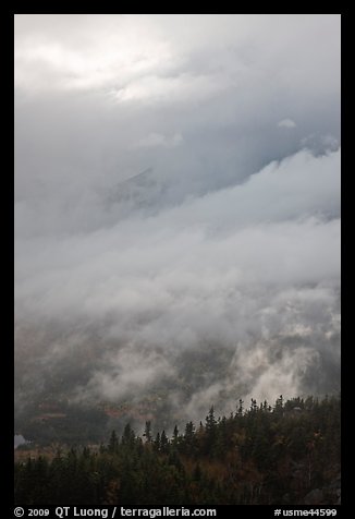 Clearing clouds and ridge with conifers. Baxter State Park, Maine, USA