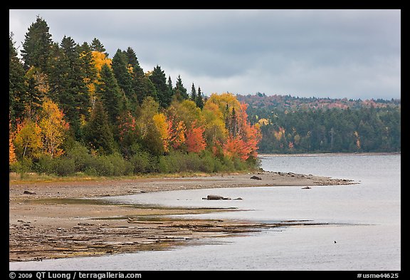 Trees in autumn color on shores of Chamberlain Lake. Allagash Wilderness Waterway, Maine, USA