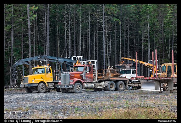 Forestry vehicles in a clearing. Maine, USA (color)
