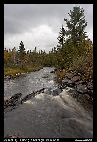 Allagash stream in stormy weather. Allagash Wilderness Waterway, Maine, USA