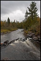 Allagash stream in stormy weather. Allagash Wilderness Waterway, Maine, USA