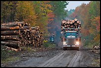 Log truck drives by pile of tree trunks. Maine, USA (color)