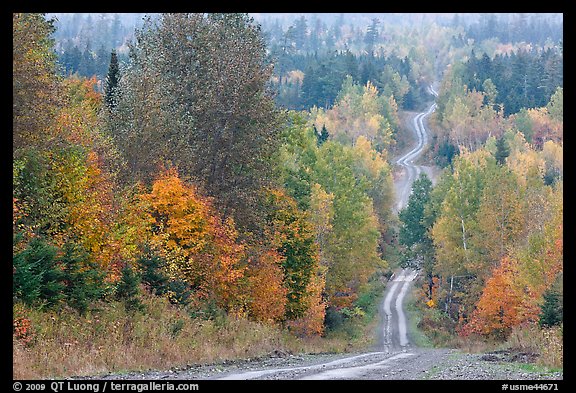 Dirt road through autumn forest. Maine, USA
