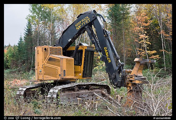 Tracked forest harvester. Maine, USA (color)