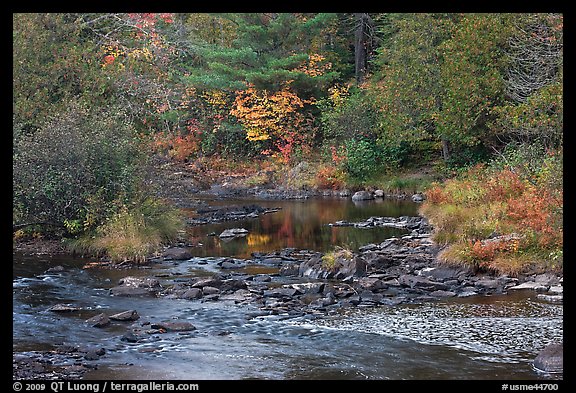 Stream and fall reflections. Maine, USA
