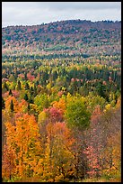 Northwoods landscape in autumn. Maine, USA (color)