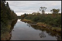 Machias River. Maine, USA