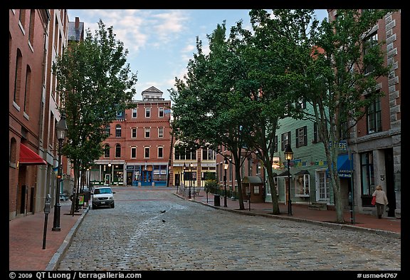 Street with cobblestone pavement. Portland, Maine, USA