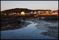 Tidal flats and houses, sunrise. Stonington, Maine, USA