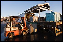 Man loading lobster crates in harbor. Stonington, Maine, USA (color)