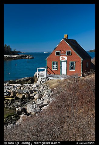 Lobstering shack. Stonington, Maine, USA (color)