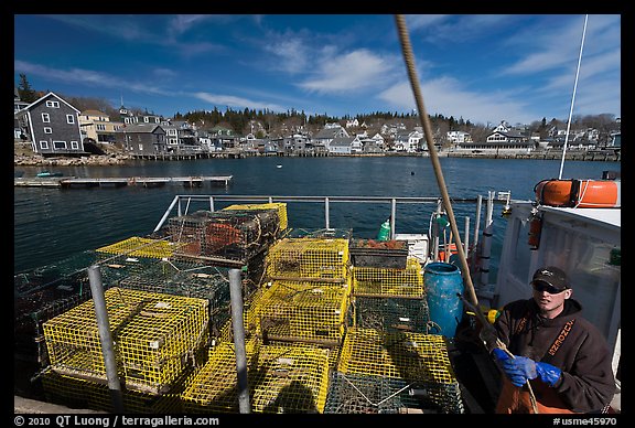 Lobsterman in boat with traps, and village in background. Stonington, Maine, USA