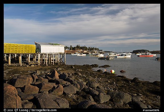 Harber at low tide, late afternoon. Corea, Maine, USA