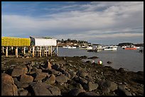 Harber at low tide, late afternoon. Corea, Maine, USA ( color)