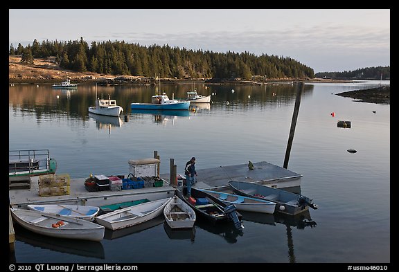 Harbor, early morning. Isle Au Haut, Maine, USA (color)