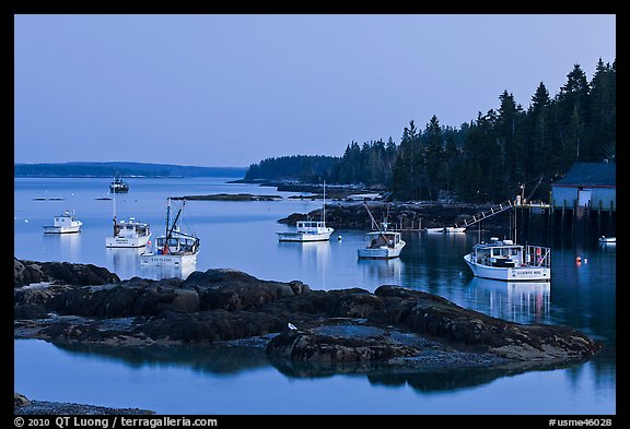 Lobstering fleet at dusk. Stonington, Maine, USA (color)