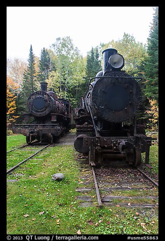 Two locomotives in the woods. Allagash Wilderness Waterway, Maine, USA