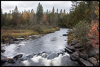 Stream in autumn forest. Allagash Wilderness Waterway, Maine, USA ( color)