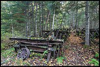 Rusting railway equipment in the woods. Allagash Wilderness Waterway, Maine, USA (color)
