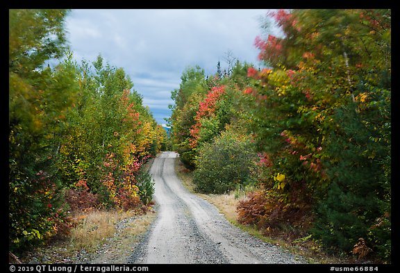 Katahdin Loop Road in autumn. Katahdin Woods and Waters National Monument, Maine, USA