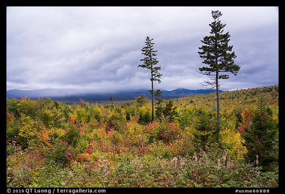 View from Loop Road Overlook. Katahdin Woods and Waters National Monument, Maine, USA (color)