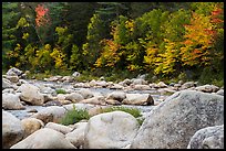 Huge boulders and Wassatotaquoik Stream in autumn. Katahdin Woods and Waters National Monument, Maine, USA ( color)