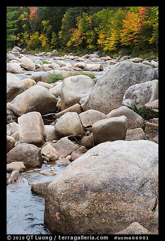 Boulders and Wassatotaquoik Stream in the fall. Katahdin Woods and Waters National Monument, Maine, USA (color)