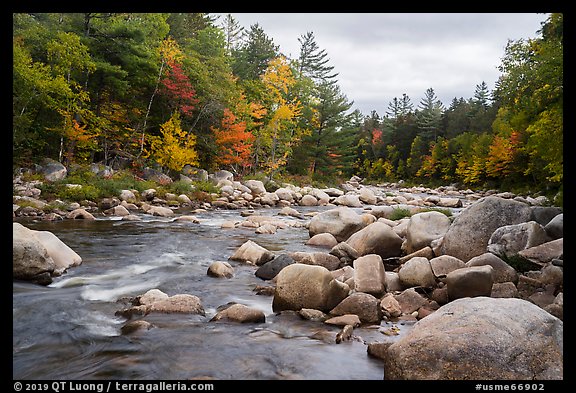 Wassatotaquoik Stream flowing past boulders. Katahdin Woods and Waters National Monument, Maine, USA