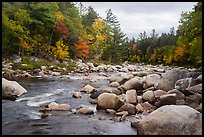 Wassatotaquoik Stream flowing past boulders. Katahdin Woods and Waters National Monument, Maine, USA ( color)