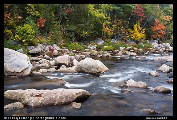 Wassatotaquoik Stream in autumn. Katahdin Woods and Waters National Monument, Maine, USA