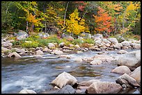 Wassatotaquoik Stream and hardwood trees in autumn. Katahdin Woods and Waters National Monument, Maine, USA ( color)