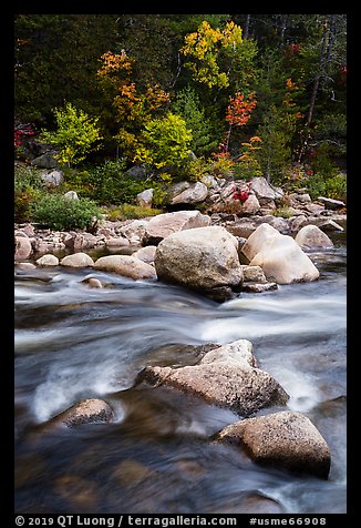 Rapids of Wassatotaquoik Stream at Orin Falls. Katahdin Woods and Waters National Monument, Maine, USA (color)