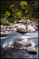 Rapids of Wassatotaquoik Stream at Orin Falls. Katahdin Woods and Waters National Monument, Maine, USA ( color)