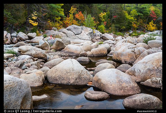 Boulders, Wassatotaquoik Stream near Orin Falls, autumn. Katahdin Woods and Waters National Monument, Maine, USA