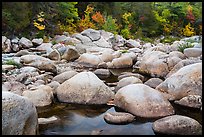 Boulders, Wassatotaquoik Stream near Orin Falls, autumn. Katahdin Woods and Waters National Monument, Maine, USA ( color)