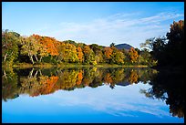 Morning reflections of trees in autumn foliage and mountain, Branch Penobscot River. Katahdin Woods and Waters National Monument, Maine, USA ( color)